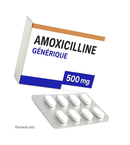 amoxicilline